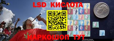 PSILOCYBIN Гатчина