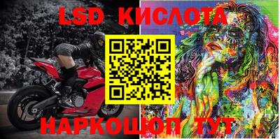 PSILOCYBIN Гатчина
