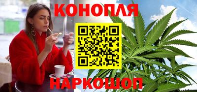 PSILOCYBIN Гатчина