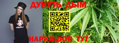 PSILOCYBIN Гатчина