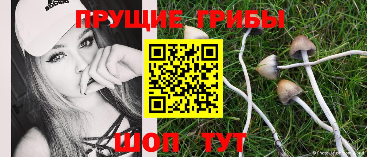 Карталы  Галлюциногенные грибы Psilocybe  Вход с VPN 